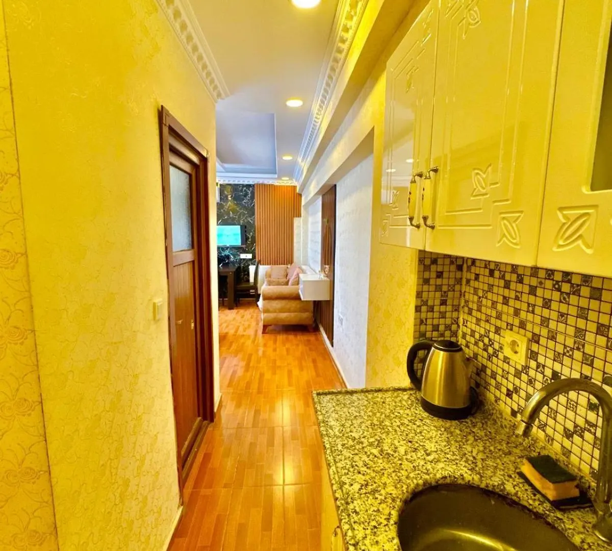 Hagia Sophia Apartment 伊斯坦布尔